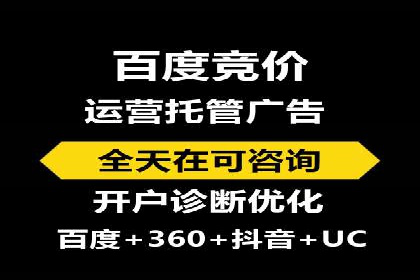搜索引擎竞价推广：某行业领先企业的成功之路